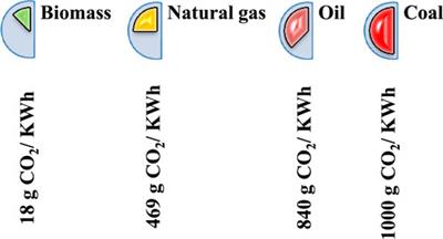 Green electricity generation from biogas of cattle manure: An assessment of potential and feasibility in Pakistan